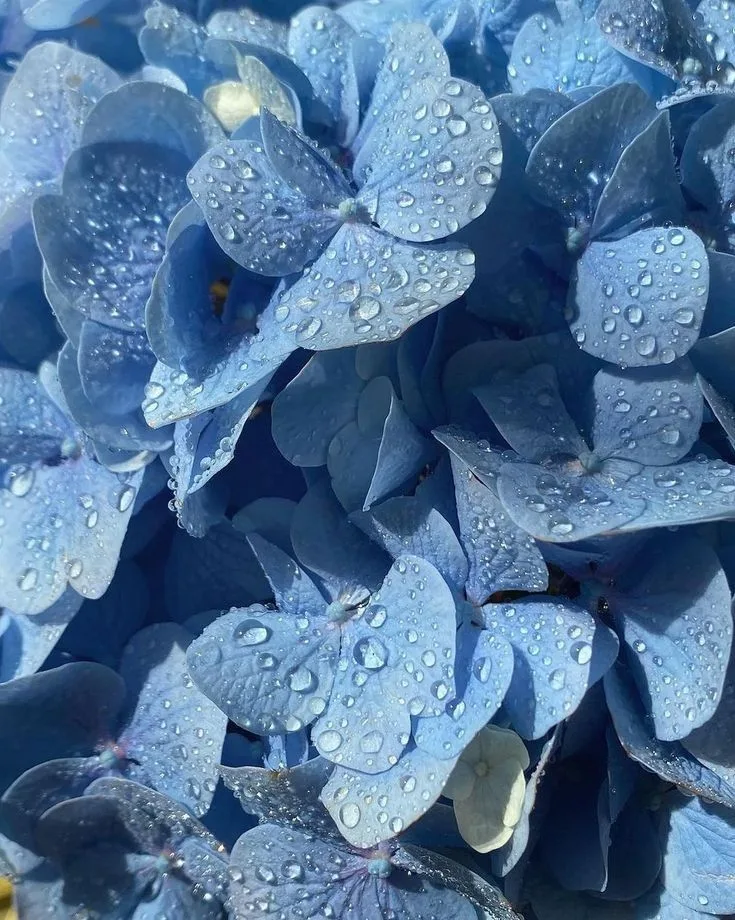 Azur
