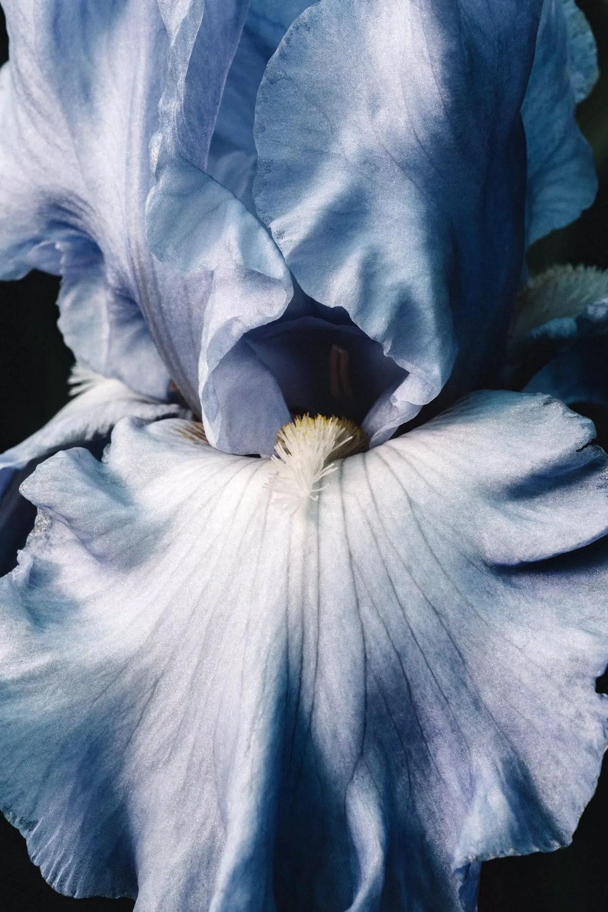 Azur