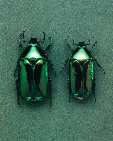 Malachite