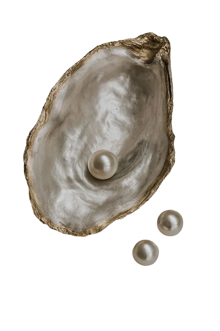 Oyster shell with pearls